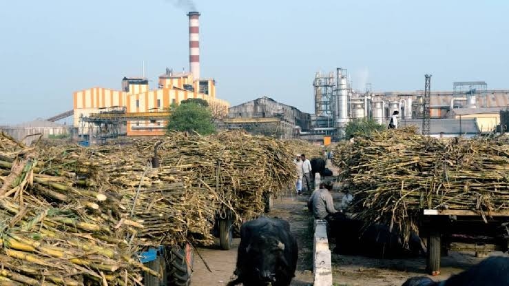 बिहार में चीनी उद्योग को मिलेगी नई रफ्तार, तीन बंद मिलों को चालू करने की तैयारी